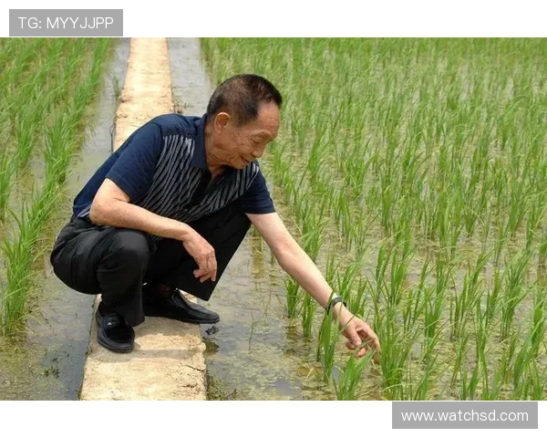 以恩比德为核心打造新时代76人队 重建与冲冠的双重挑战